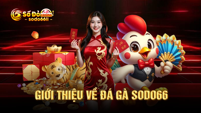 giới thiệu về đá gà sodo66