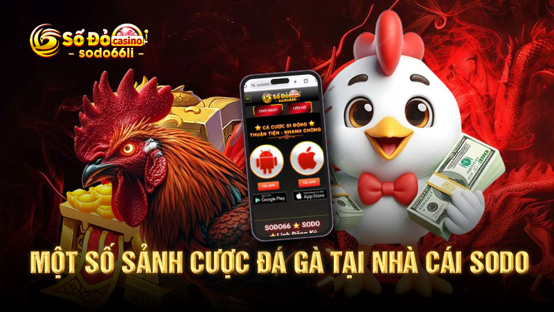 một số sảnh cược đá gà tại nhà cái sodo
